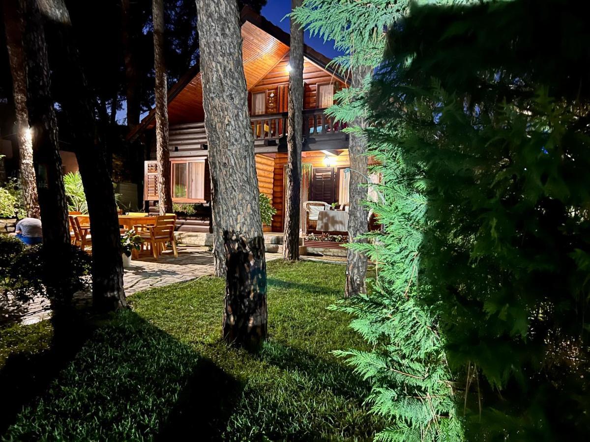 Vila Lulebore Villa Velipojë Dış mekan fotoğraf